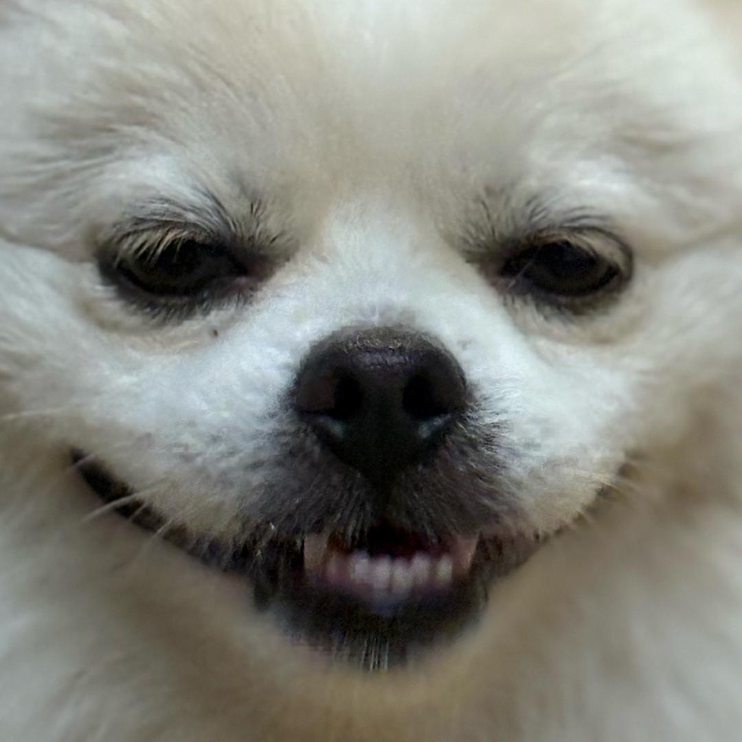 我觉得你很搞笑