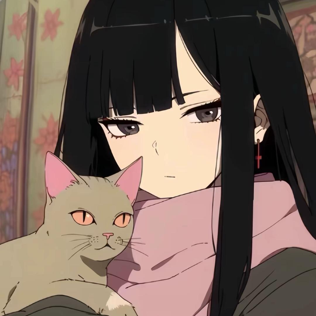 赵6