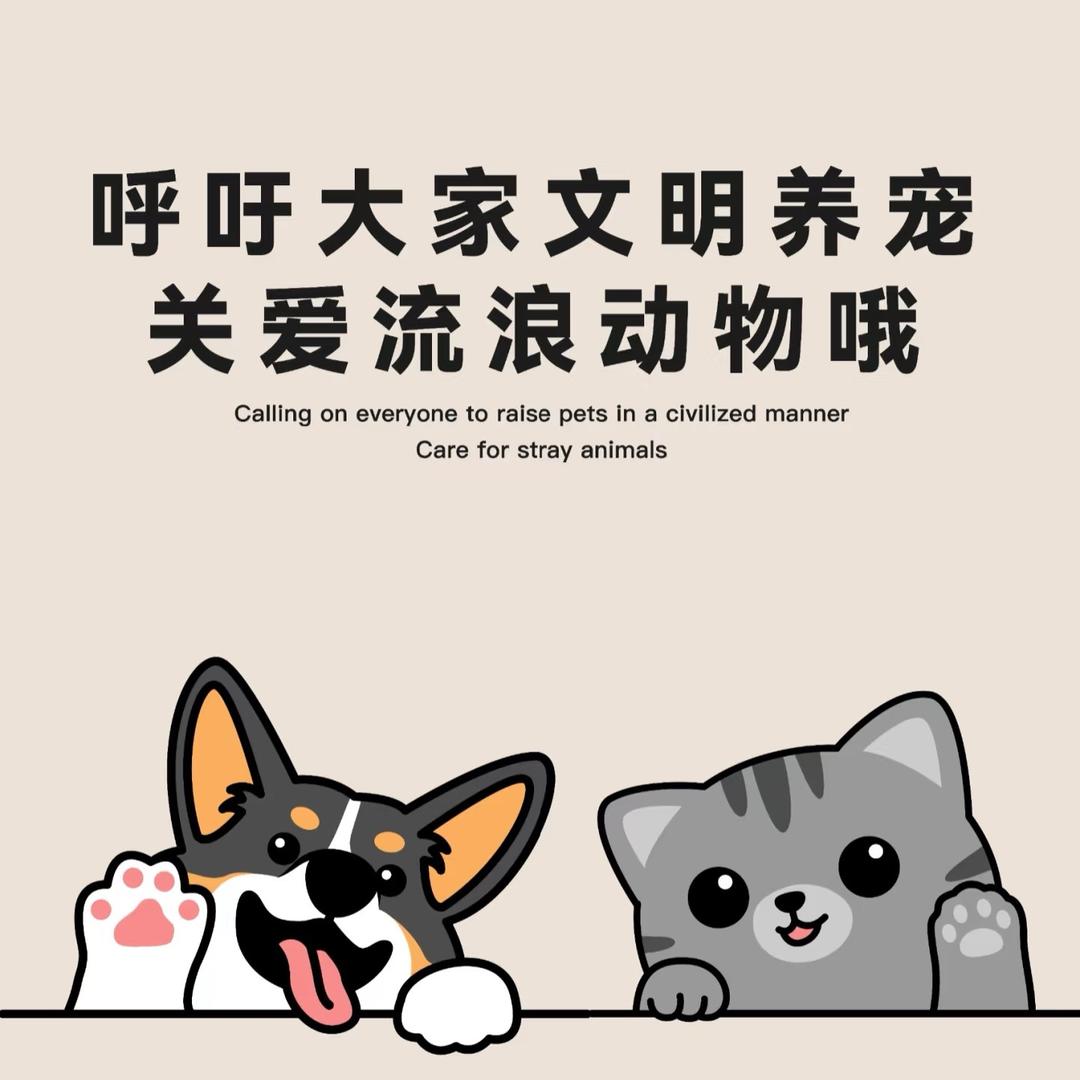 愿世间再无流浪狗