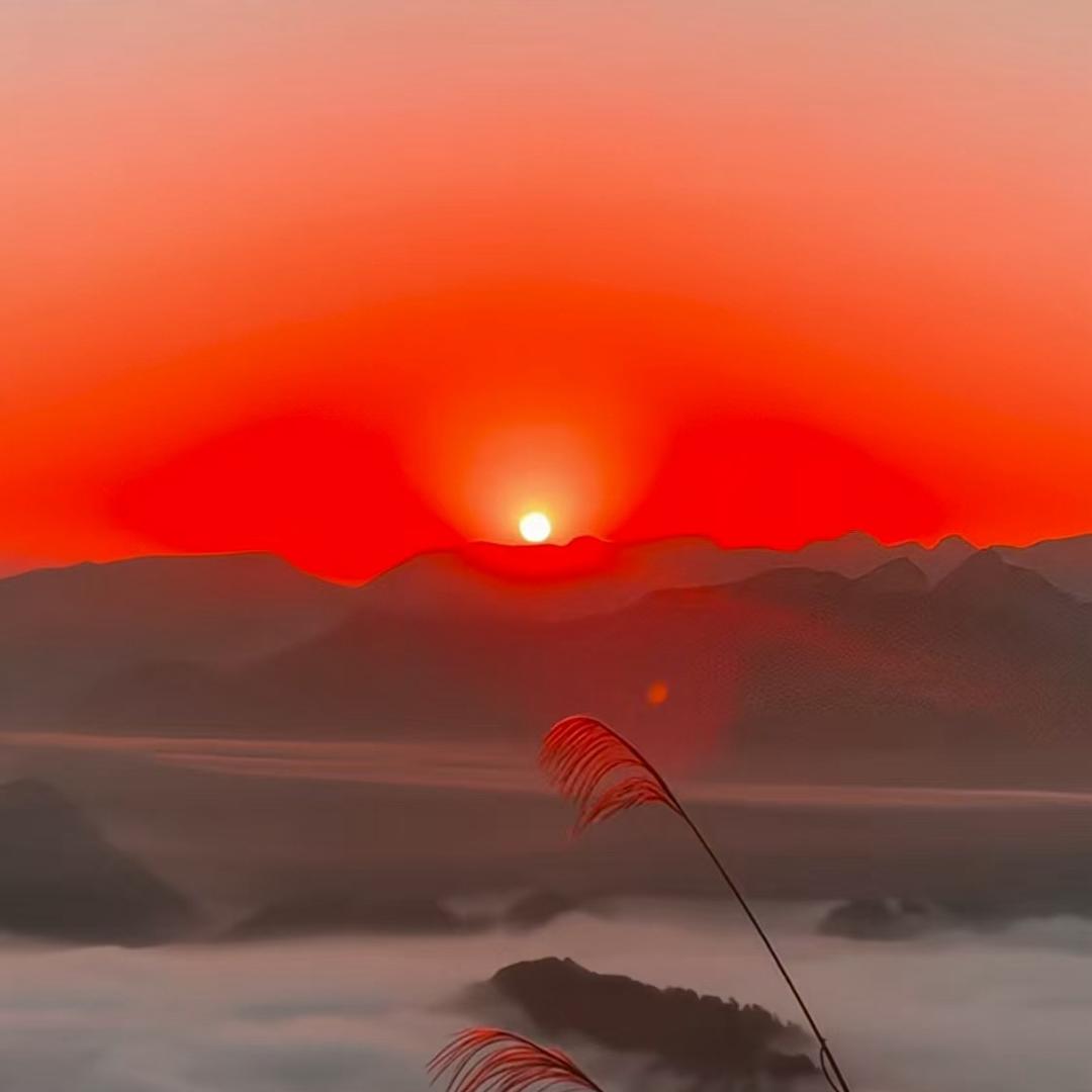 风🌬️