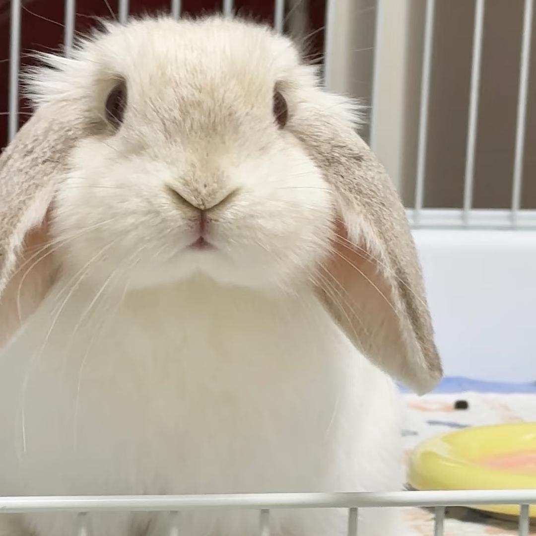 喂🥚🥚