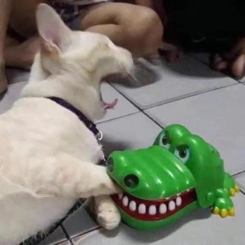 杜十七