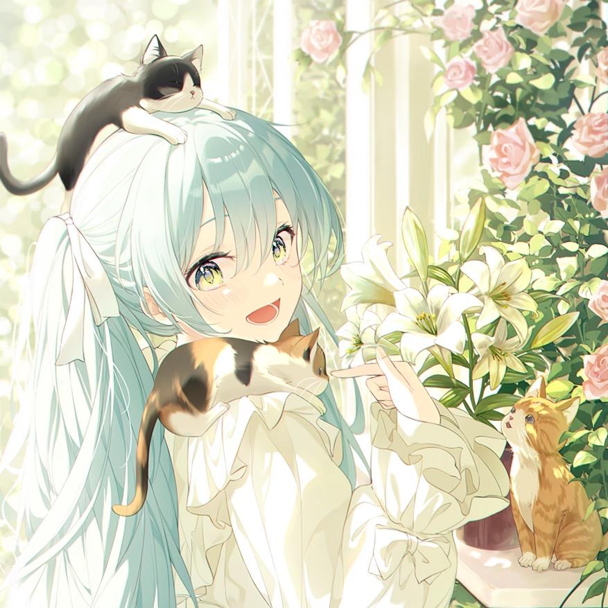 魔法星星砸你脑门