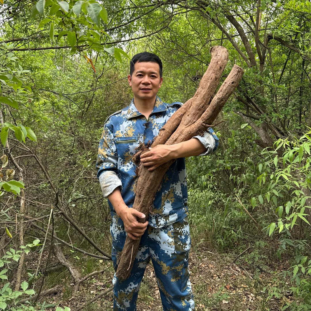 涛哥的乡情村味