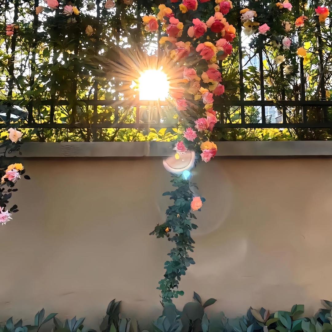 星星亮晶晶✨🎤