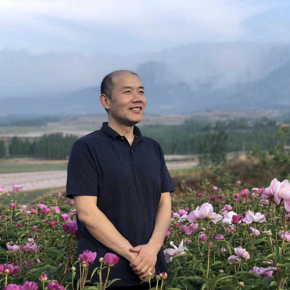 王波书法