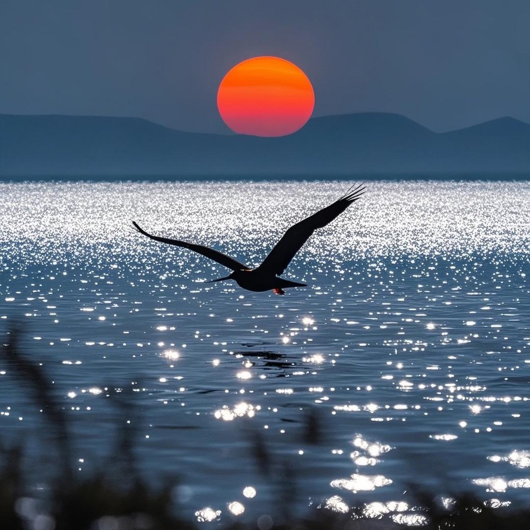 佳佳好物百货@抖音