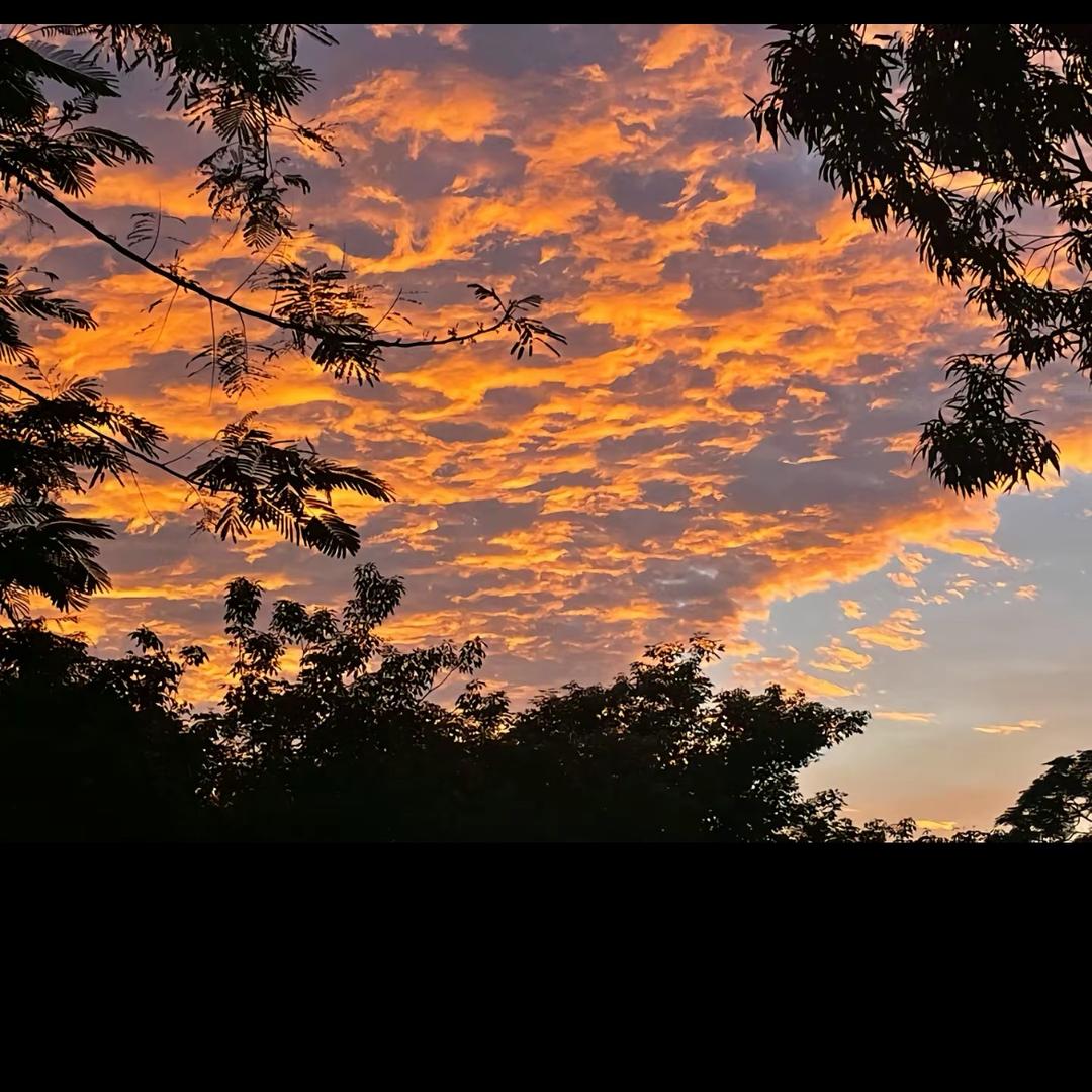 阿一呀