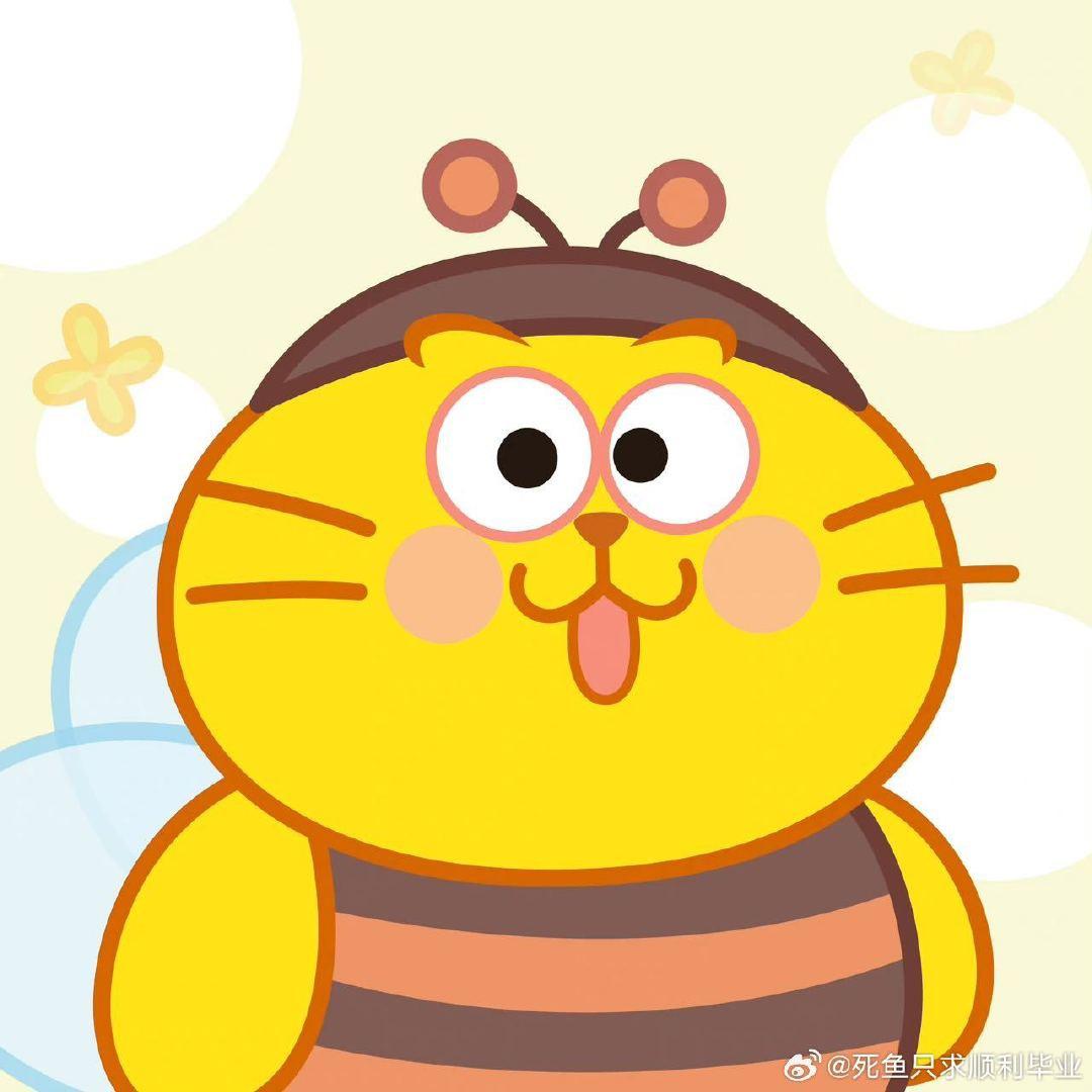 团购小花猫1116