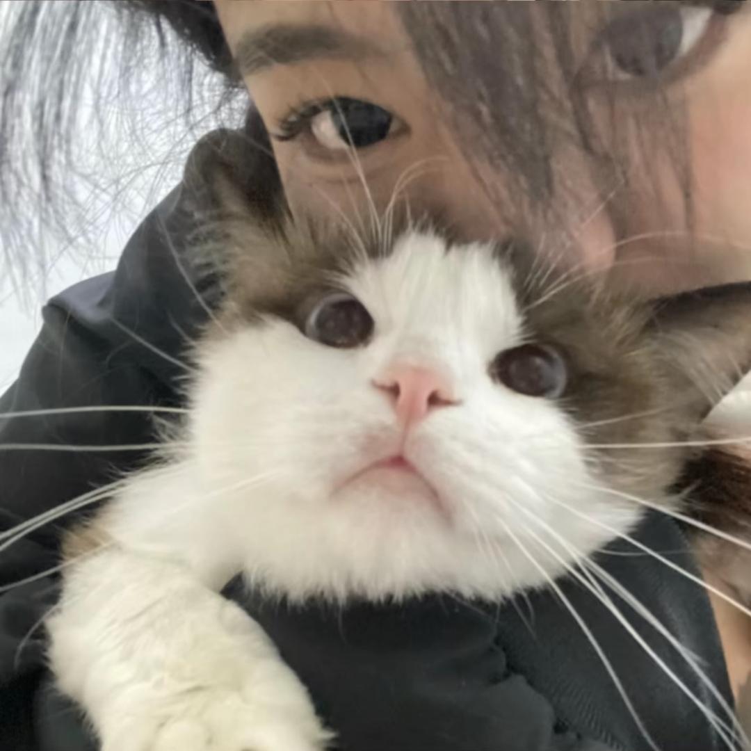 倩倩陈