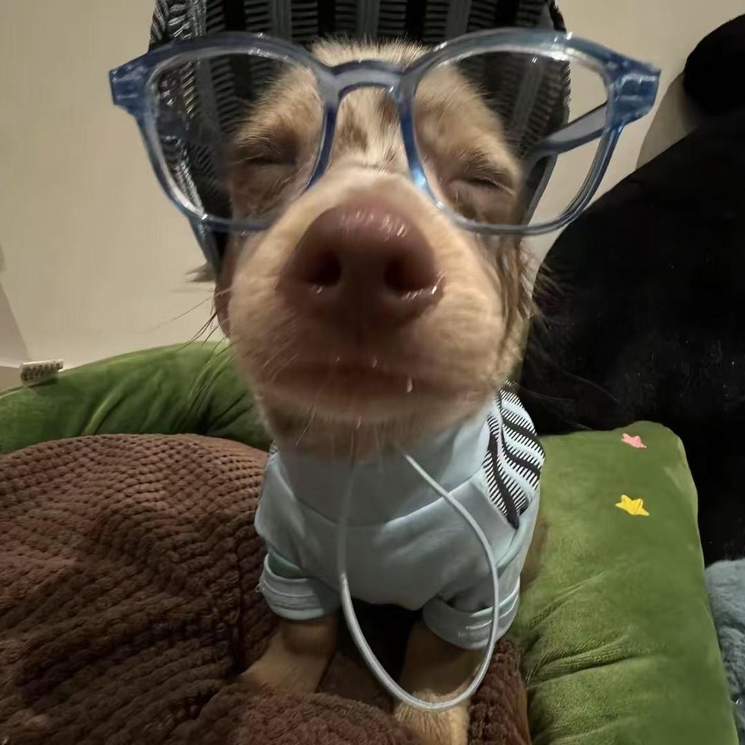 我是杏仁露大王