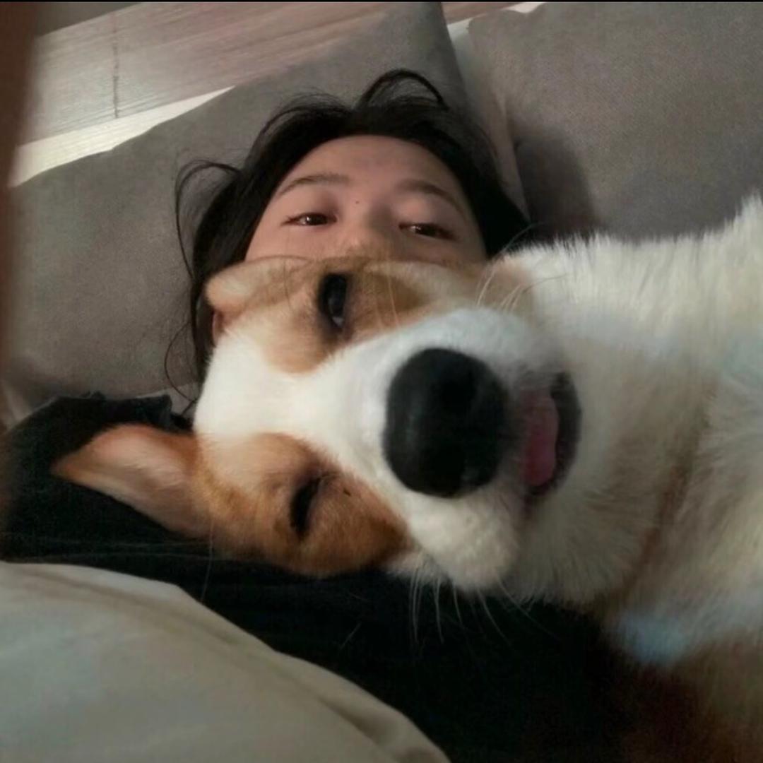 Chenvn