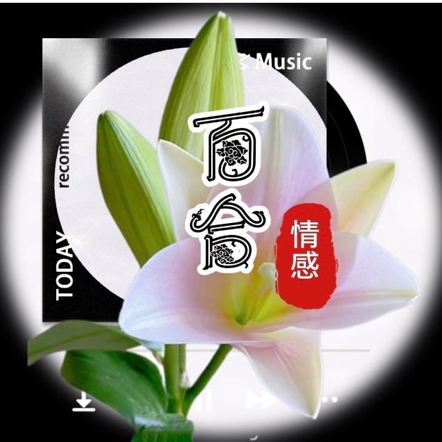 风中百合