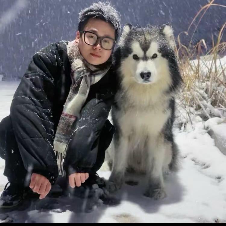 宠物旅行策划师小白