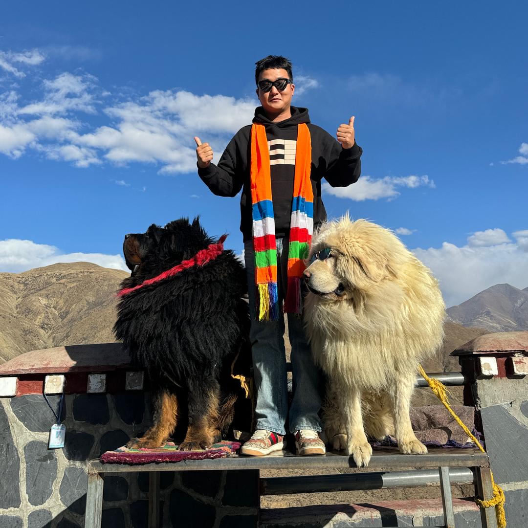 小赵爱旅行