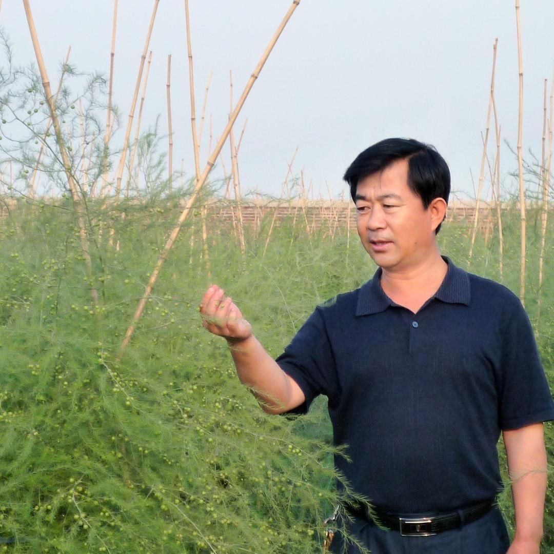 芦笋专家_于继庆