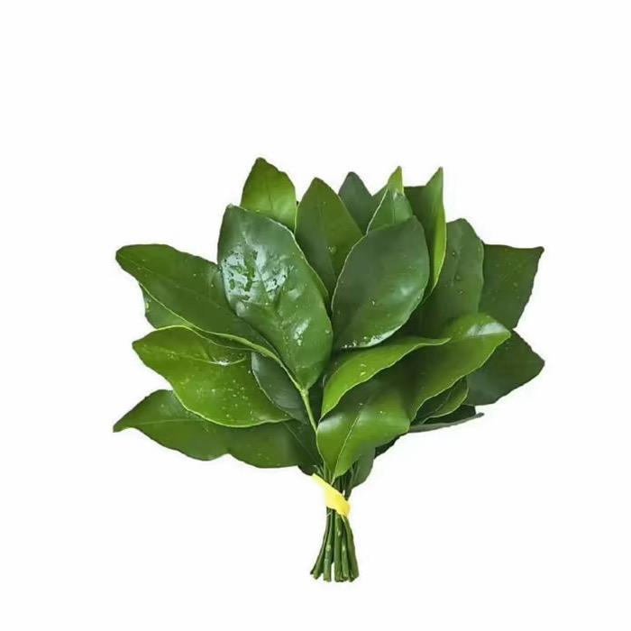 . 唐唐