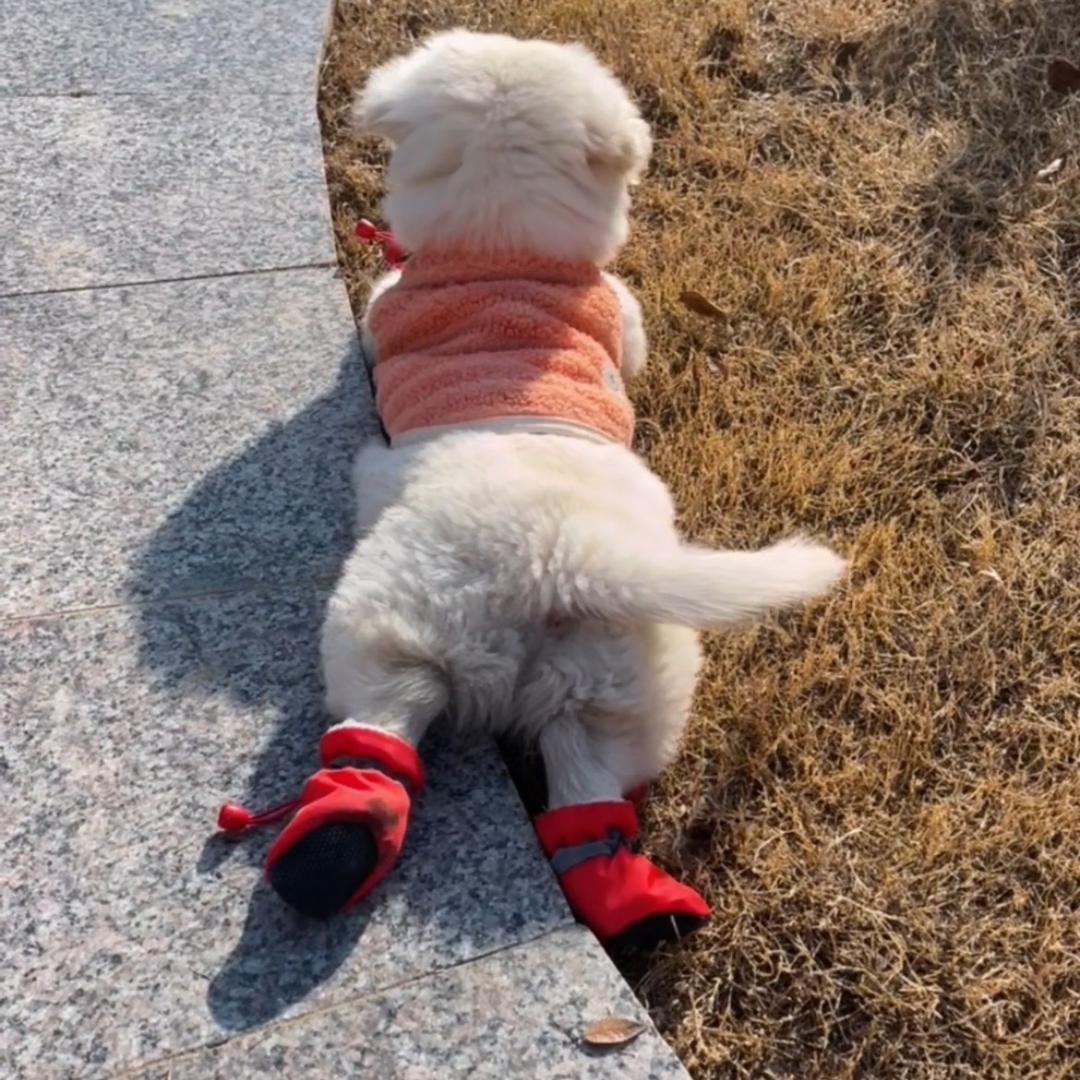 徐三妹✌✌✌