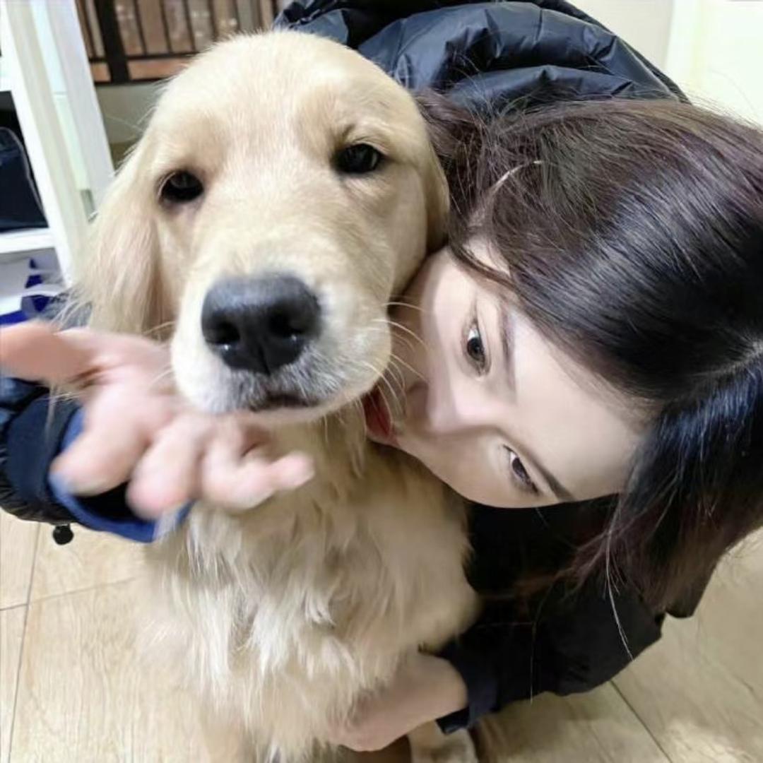 哎亚亚