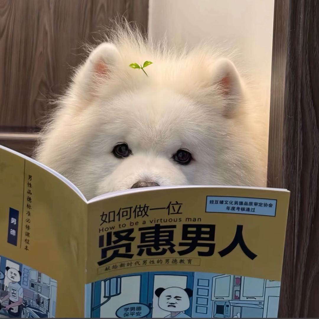 MI世贤