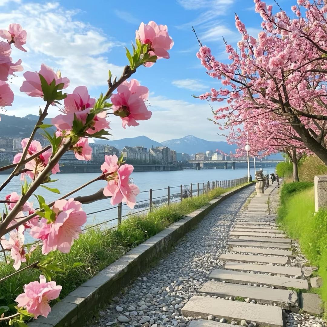 清风丶