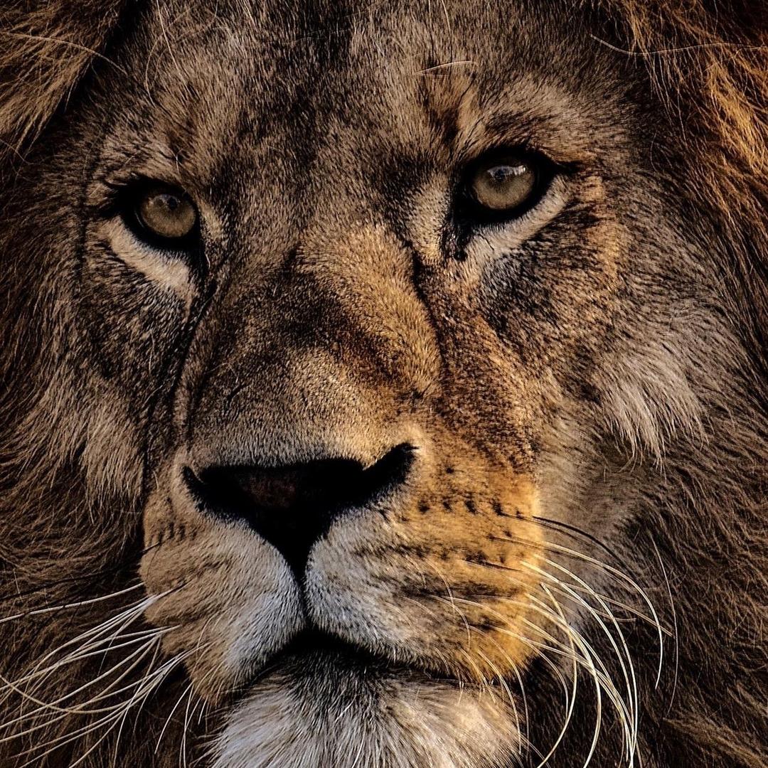 一个比酷路泽还酷的男人