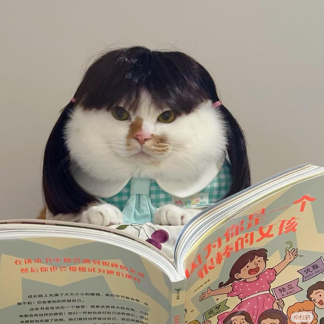 白音乌拉嘎查一枝花