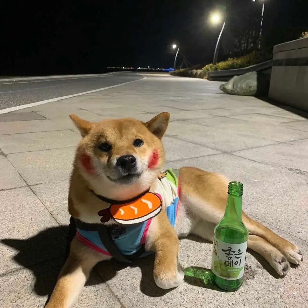 𝙞𝘿𝙪𝙪𝟳𝙠、🐾