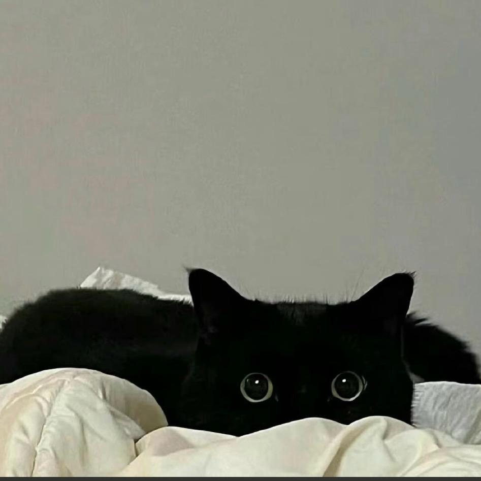 年度七七不改名