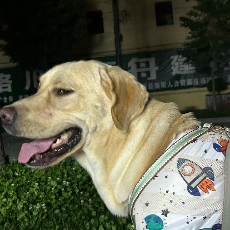 想不到好名字