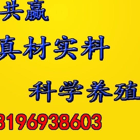 兴化市诚信饲料厂