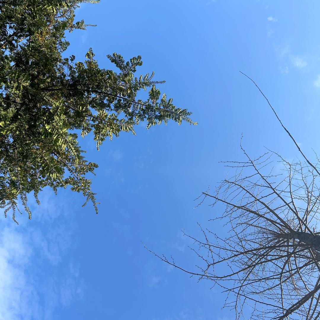我们都一样