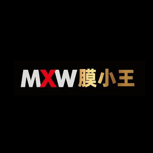 膜小王车膜（全国加盟）