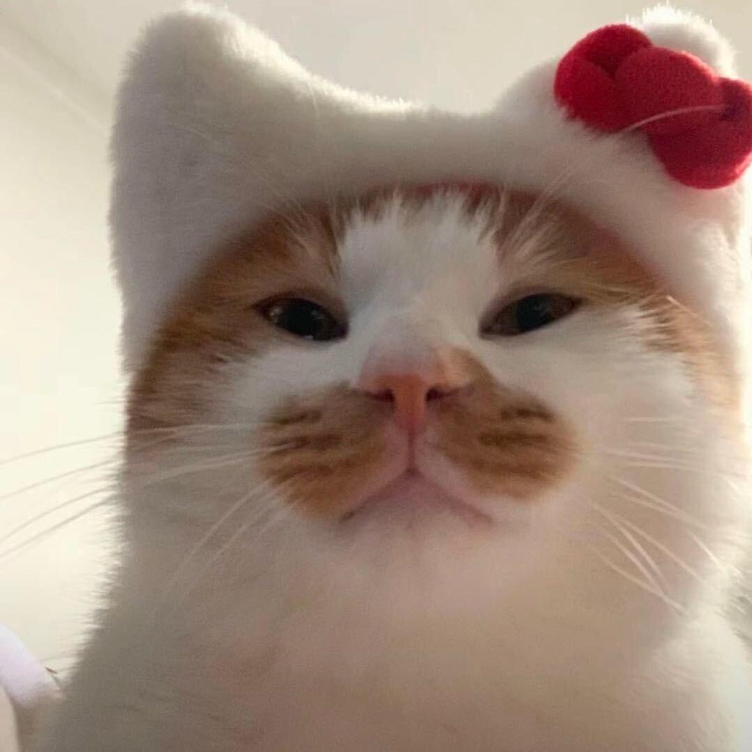 王权