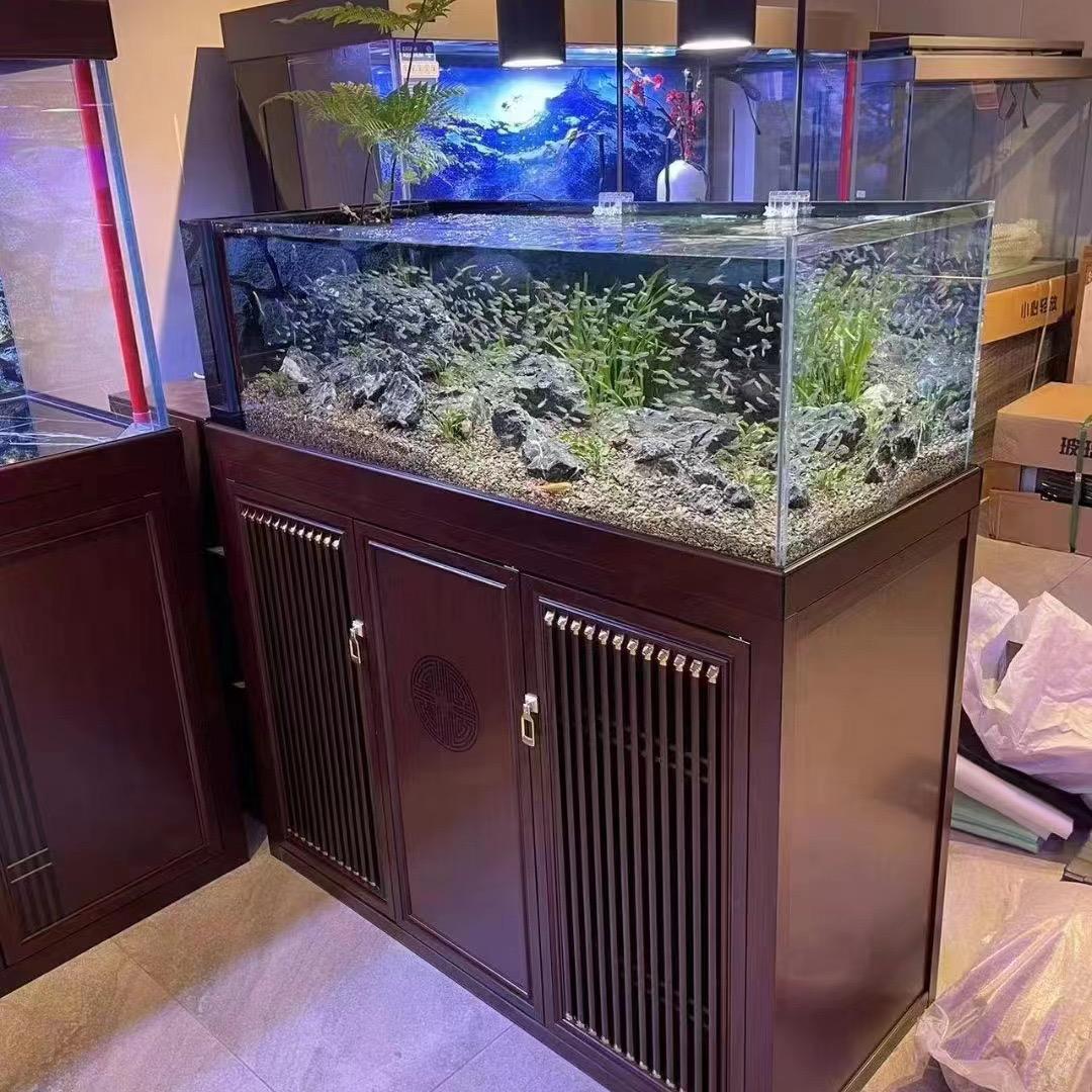 海中金水族馆