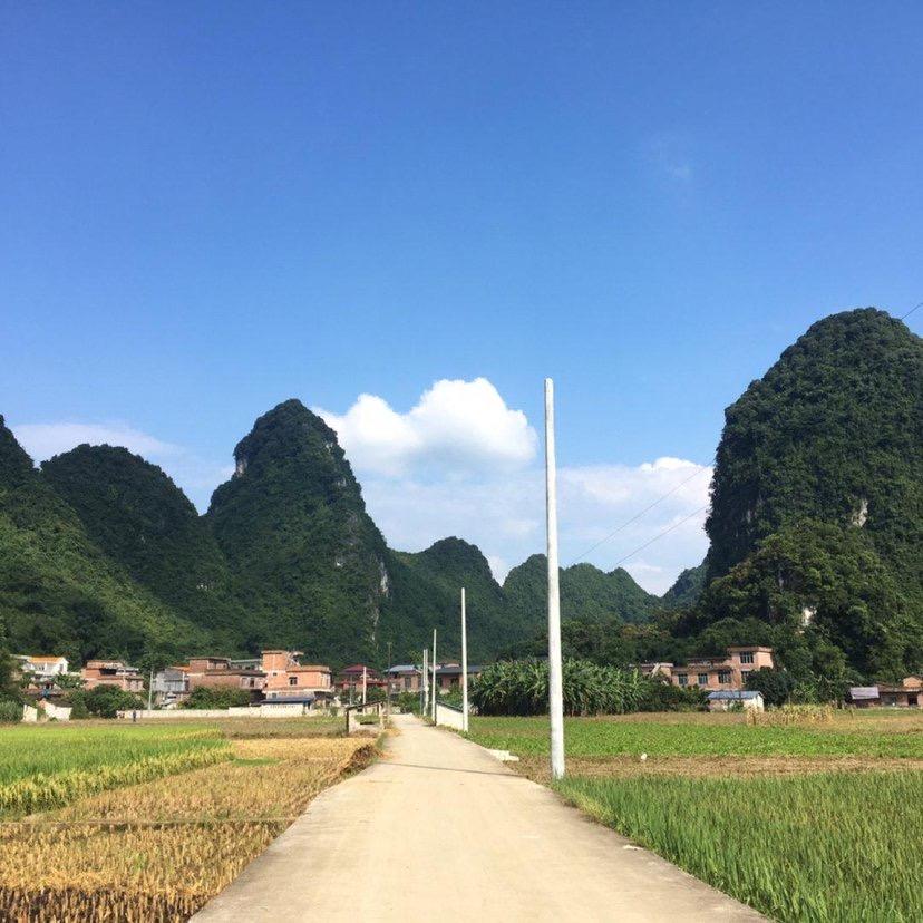 波哥