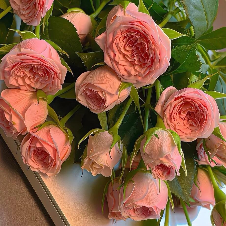 橘子味的甜甜圈