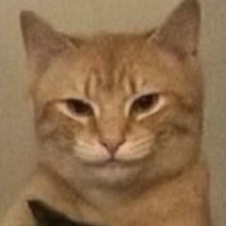 豌豆黄心想事成