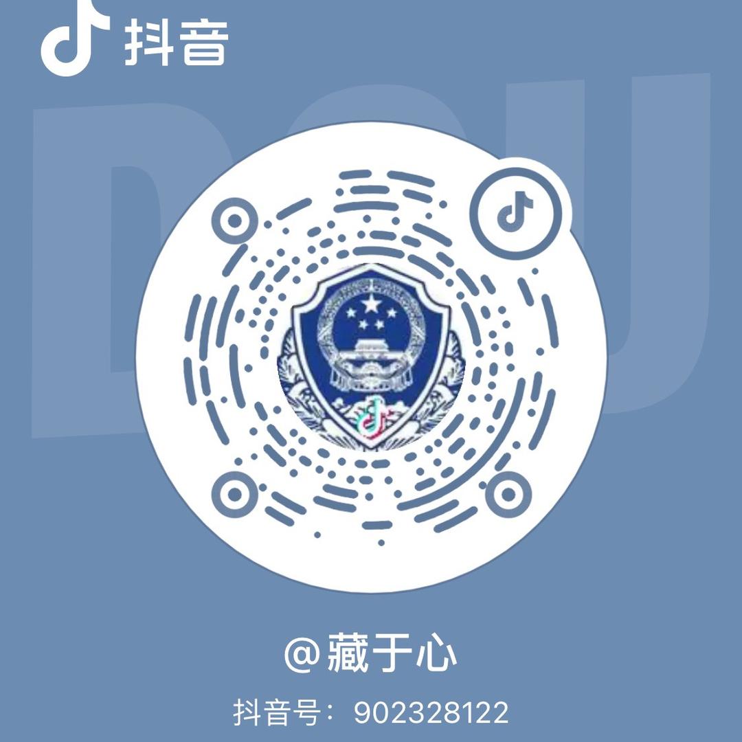 藏于心