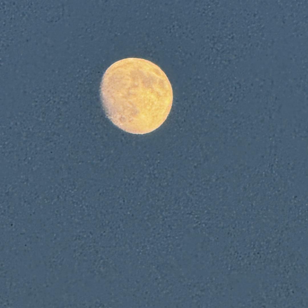 阿何