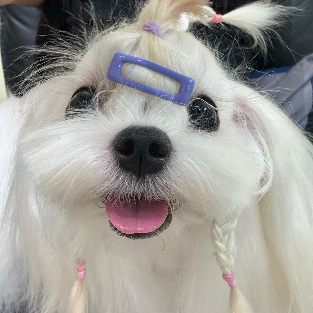 @旺旺