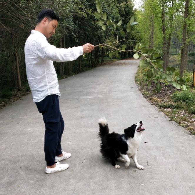 拍拍飞尘继续走