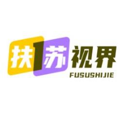 扶苏视界