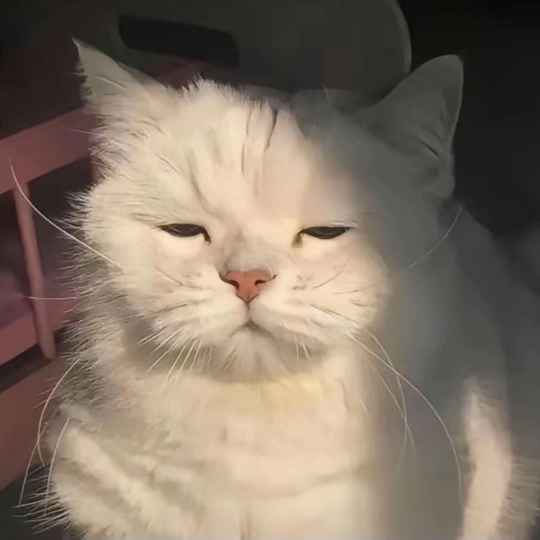 是㭉㭉啊🍯