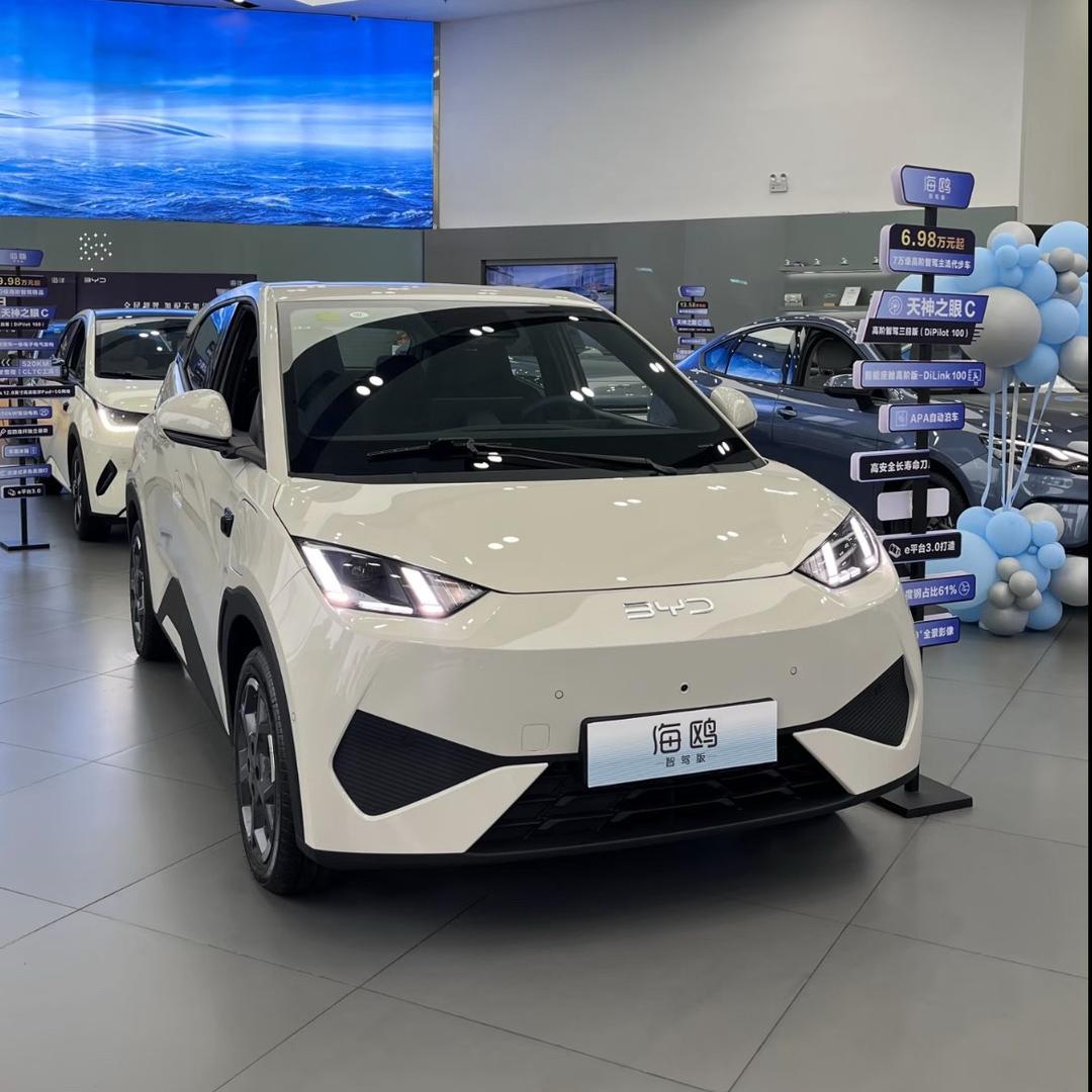 比亚迪海鸥（新车报价）