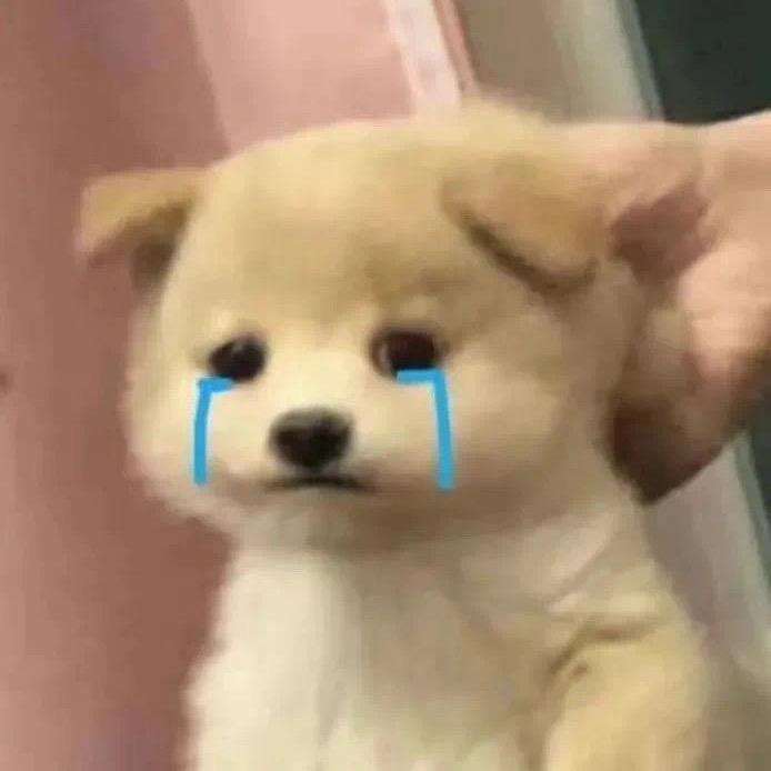 你小汁这么可爱