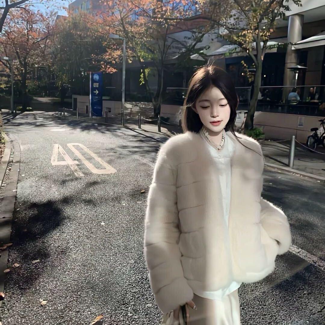 Y 、