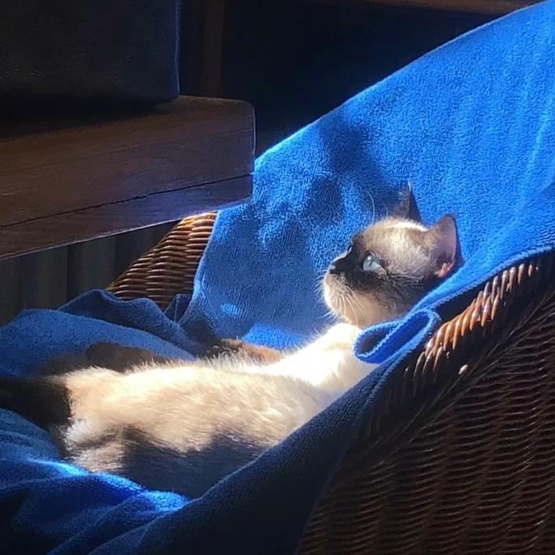 今天到底吃没吃