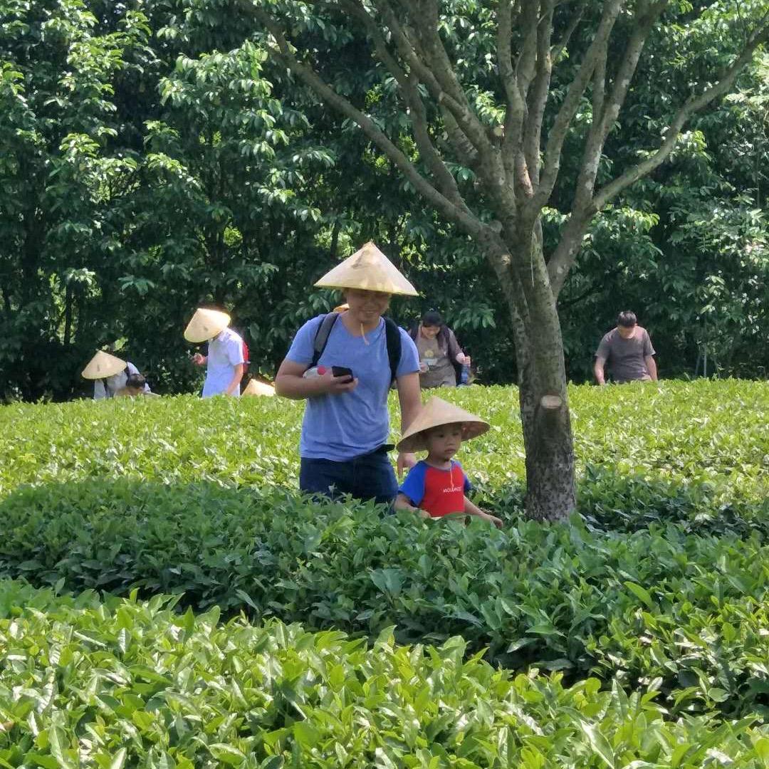 爱钓鱼的可乐