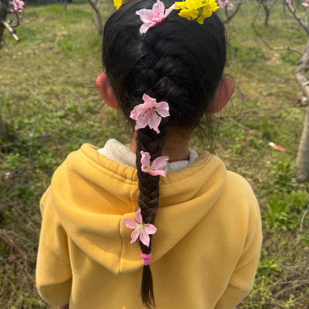 🍐小🦠李子🍇